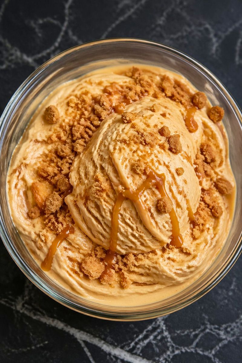 Ninja Creami Biscoff Cookie Butter Protein Ice Cream Recipe