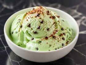 Ninja Creami Mint Chocolate Chip Protein Ice Cream Recipe