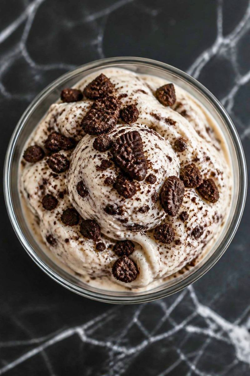 Ninja Creami Oreo Cookie Ice Cream Recipe